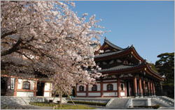 �Ⓦ�R�R�ω���ꏄ��E�Ⓦ�R�R�ω���ꏄ��o�X�c�A�[�\��